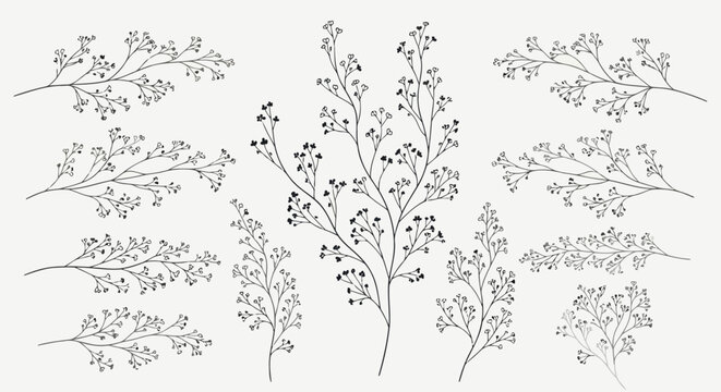 Black and white plant branches with flowers
