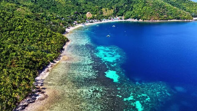 A stunning aerial view shows a vibrant coral reef and lush green shoreline near Port Barton in Palawan, Philippines. Clear turquoise water reveals reefs alongside dense coastal forest
