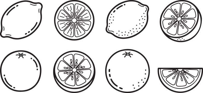 Set of vector outline leaves with central veins and dot grid pattern Vector