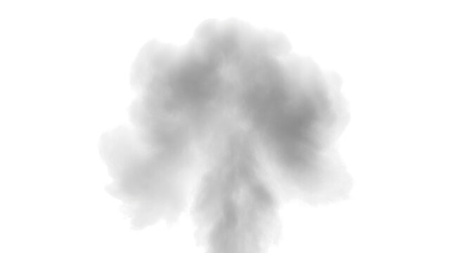 A large cloud of smoke rises into the air from an explosion.