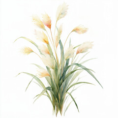 Fototapeta premium Watercolor Pampas Grass Bouquet Illustration