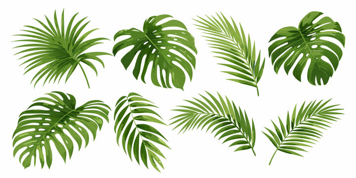 Collection of tropical leaves vibrant green vector illustration on a white background high quality professional