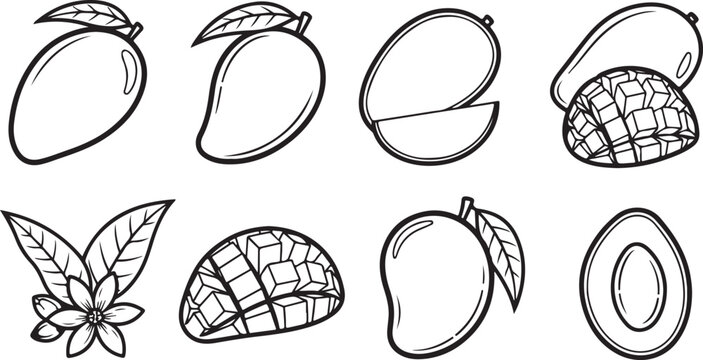 Black and white flower and leaf line art vector seamless pattern Vector
