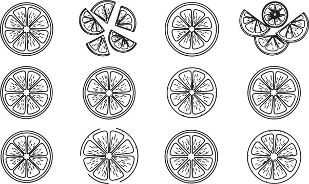 Collection of twelve decorative mandala art patterns black and white Vector