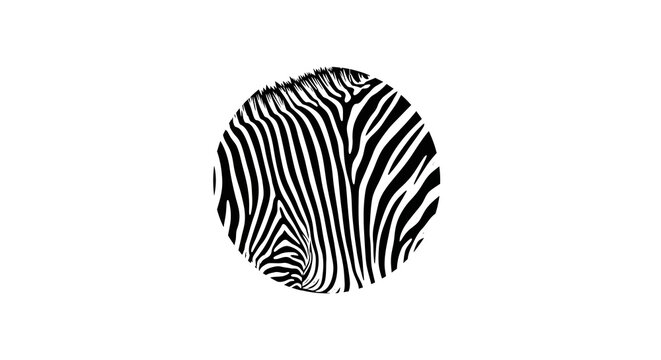 Abstract Zebra Stripe Circle Pattern, Black and White Wildlife Graphic