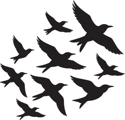 Obraz premium Flock of birds flying in silhouette in a composition with white spread wings and animal flight freedom