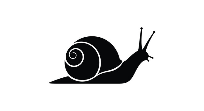Black snail silhouette against a white background silhouette high quality professional detailed modern