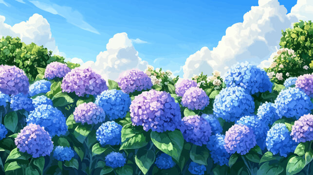 Vibrant hydrangea flowers in purple and blue bloom under bright sky