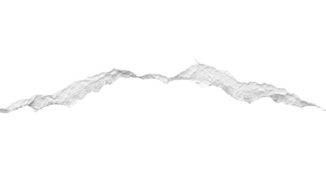 Torn paper edge isolated PNG