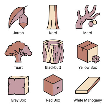 Australian Native Trees and Wood Types - Infographic Collection
