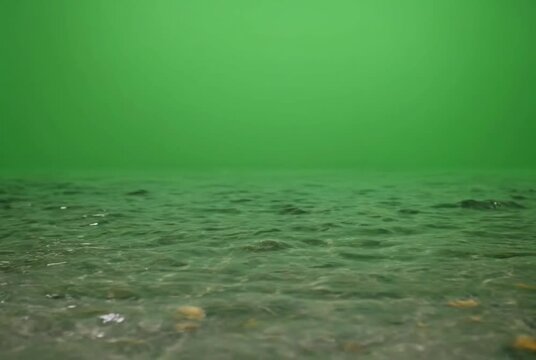 Green screen background, underwater effect, sea floor texture, chroma key