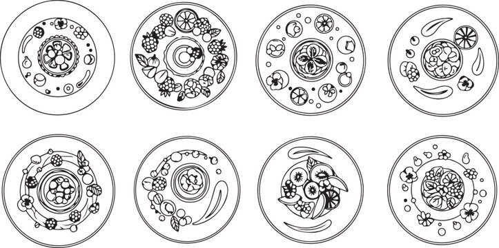 Zodiac symbols circle collection vector illustration Vector