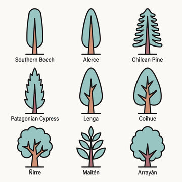 Set of Chilean Trees: Southern Beech, Alerce, Chilean Pine, Cypress, Lenga, Coihue, Nirre, Maiten, Arrayan