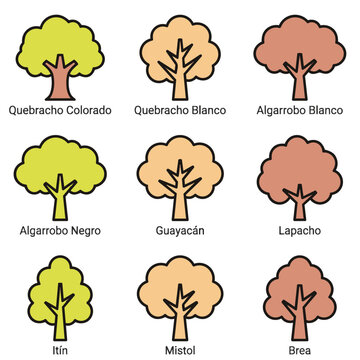 Set of stylized trees with names: Quebracho Colorado, Quebracho Blanco, Algarrobo