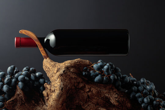 Unopened bottle of red wine, blue grapes, and weathered snag.