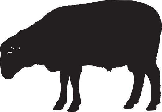 Black bison, bison silhouette, animal icon, wildlife symbol, vector graphic