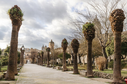 View of the Giardino Ibleo park featuring a path lined with trimmed palm trees and historic baroque church towers under a cloudy sky in Ragusa, Sicily, Italy.