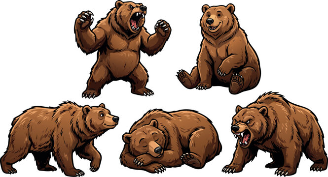 Brown bear grizzly character set standing roaring sitting walking sleeping and aggressive angry poses isolated on white background.