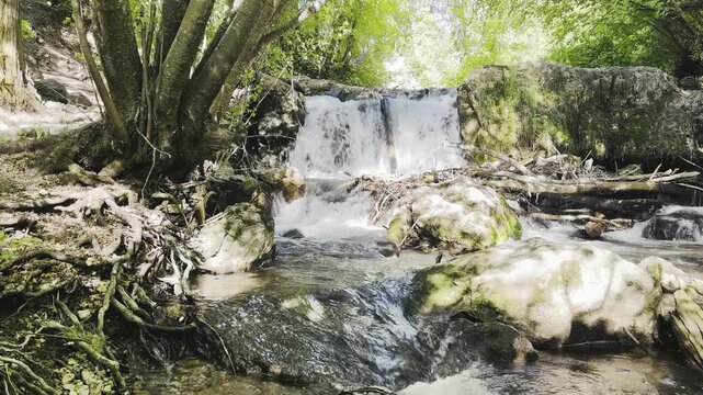 flowing water at right hand fork waterfall in the forest in Logan Canyon