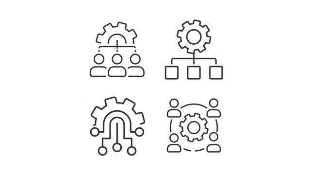 Animated management charts line icons. Workflow organization animation set. Team members interactions. Business diagrams. Outline elements on white background. HD video with alpha channel