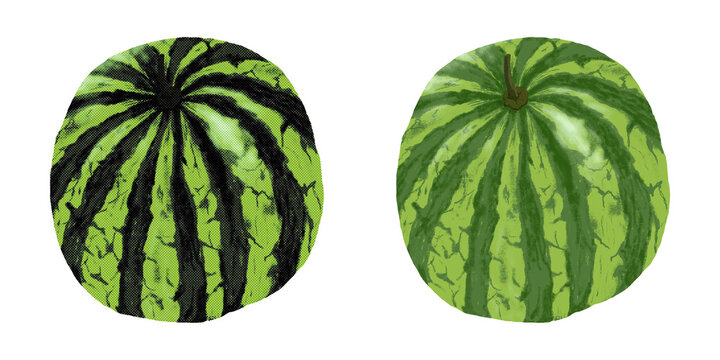 Digital illustration of two whole green striped watermelons. Fresh organic concept art featuring halftone and painterly textures on a transparent background. Perfect for food packaging.