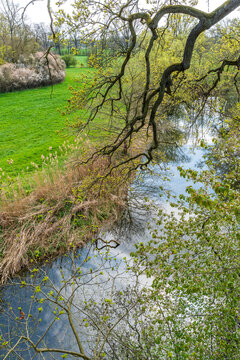 Blick auf einen kleinen Fluss von oben durch Baumkronen hindurch