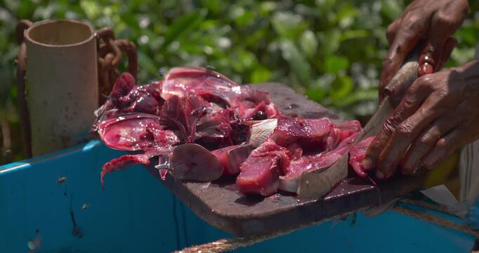 Close up of hands slicing fresh fish into pieces on a small boat outdoors Traditional seafood preparation with curved knife raw catch local coastal food culture and tropical village atmosphere