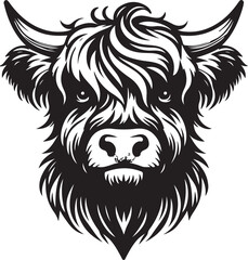 Fototapeta premium Highland Cow 