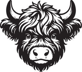 Obraz premium Highland Cow 