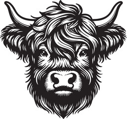Obraz premium Highland Cow 