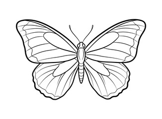 Detailed line art of a butterfly a delicate illustration for nature enthusiasts © MdAtiqur