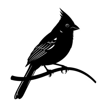 Silhouette of a crested bird perched on a branch