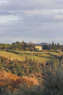 View of a traditional stone villa nestled among cypress trees and olive groves on the rolling hills of the Tuscan countryside Monteriggioni, Tuscany, Italy.