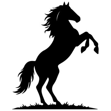 Rearing Stallion Horse Silhouette Vector Illustration on Grass