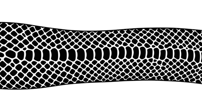 Monochrome reptile skin scale pattern border