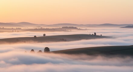Naklejka premium Sunrise over rolling hills and foggy landscape with trees
