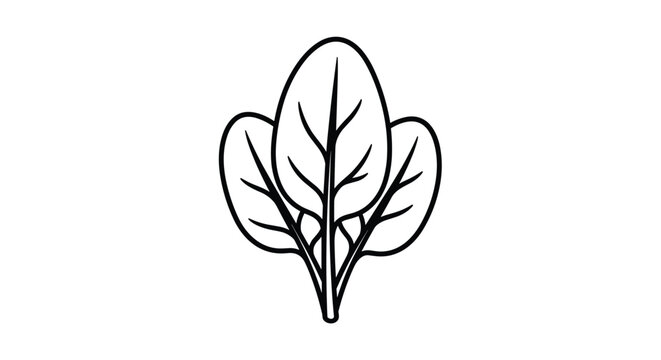 Simple black and white line drawing illustrates a bunch of fresh spinach leaves for healthy food themed designs.