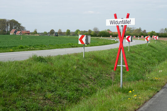 Hinweisschild Wildwechsel in einer scharfen Kurve - Unfallschwerpunkt f&uuml;r Wildunf&auml;lle