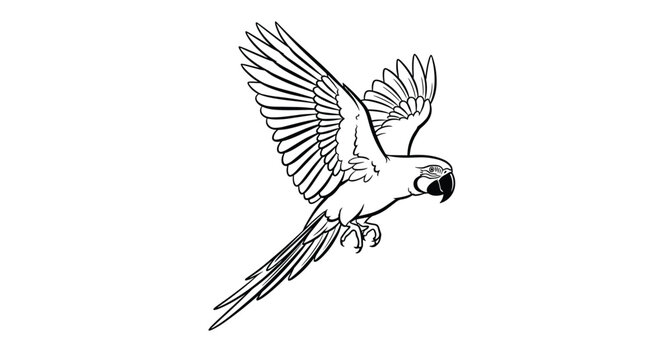 Detailed hand drawn line art illustration of a large macaw parrot in flight with wide spread wings on a white background.