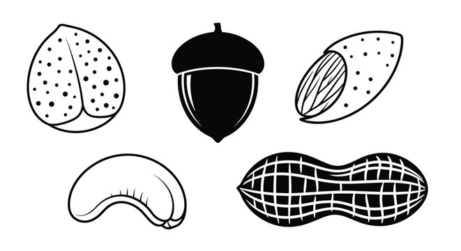 Collection of various nuts including almond, cashew, peanut, hazelnut and acorn in black and white line art and silhouette.