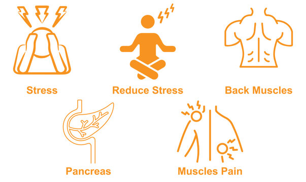 Modern healthcare icon set representing muscle pain, pancreas health, stress reduction, stress management, and back muscle support in a clean and professional vector style ideal for medical, wellness.