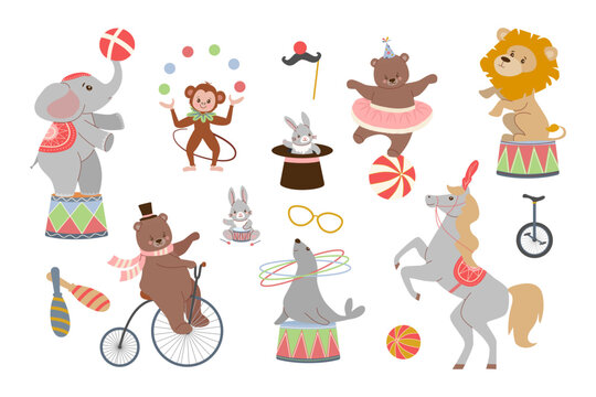 A versatile set of flat vector illustrations featuring a trained elephant, juggling monkey, rabbit in a hat, bears, a lion, and a seal performing various circus tricks.