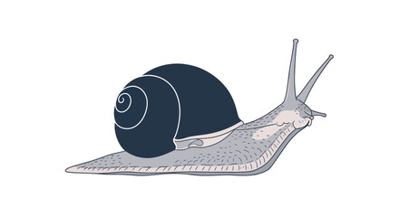 Hand-drawn illustration of a dark blue snail on a white background, isolated © aa