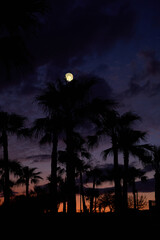 Fototapeta premium Full Moon on a twilight sky with landscape silhouettes.