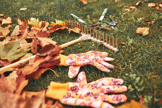 Gardening tools for autumn seasoning maintenance of a backyard.