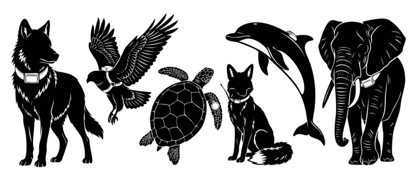 Wildlife Tracking Collars Animals Silhouette Set - Wolf, Eagle, Turtle, Fox, Dolphin, and Elephant with GPS Technology Tracking Equipment for Conservation Research and Biological Monitoring Projects