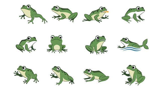 cartoon frogs in various poses on white background high quality professional