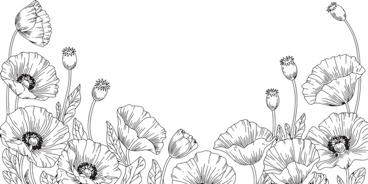 Delicate Monochrome Floral Corner Illustration with Hand Drawn Daisy, Chrysanthemum Flowers and Botanical Leaves for Wedding Invitation Design