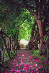 Naklejka premium Fairytale Forest Path with Fallen Pink Petals and Rustic Wooden Railing Steps in Madeira Garden Portugal