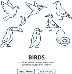 Naklejka premium Birds collection features various avian species and a halved fruit represented in a clean line art style.